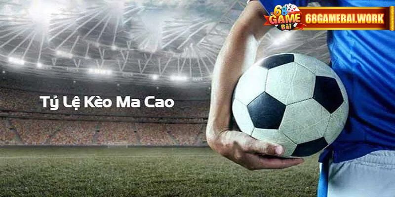 Đa dạng các hình thức cược Macao hấp dẫn
